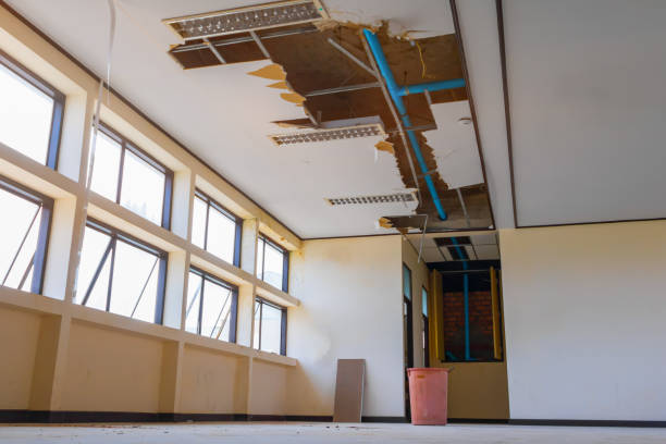  Alma, NE Water damage restoration Pros