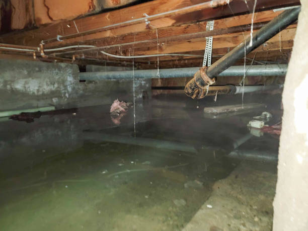 Professional Water damage restoration in NE
