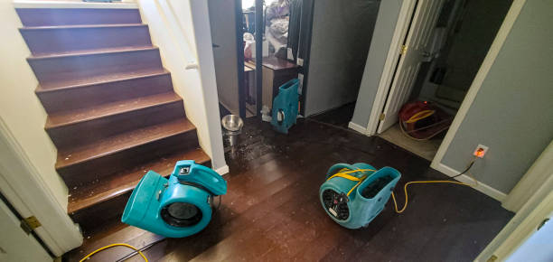 Best Basement water damage restoration  in Alma, NE