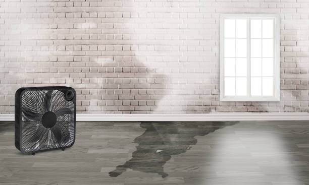 Best 24-hour water damage restoration  in Alma, NE