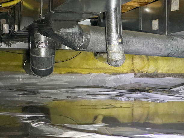 Best Water damage restoration cost  in Alma, NE
