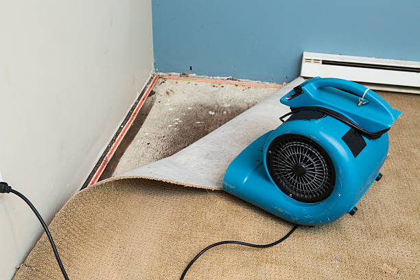 Best 24/7 water damage repair  in Alma, NE